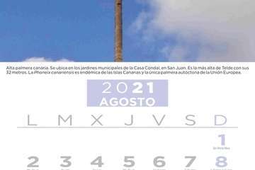  Telde pone en valor su patrimonio vegetal con un almanaque con los árboles más singulares/TA.